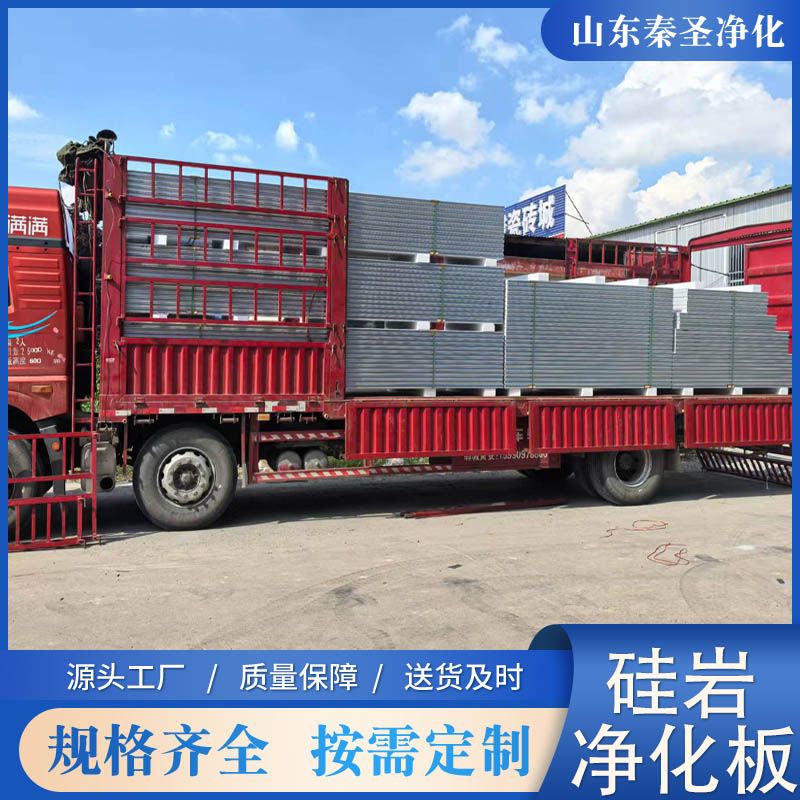 硅巖凈化板