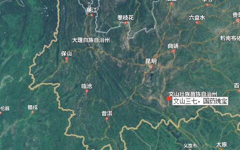 三七價(jià)格，三七粉價(jià)格