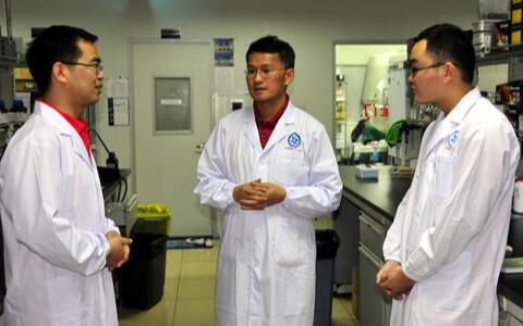 三七價(jià)格，三七粉價(jià)格